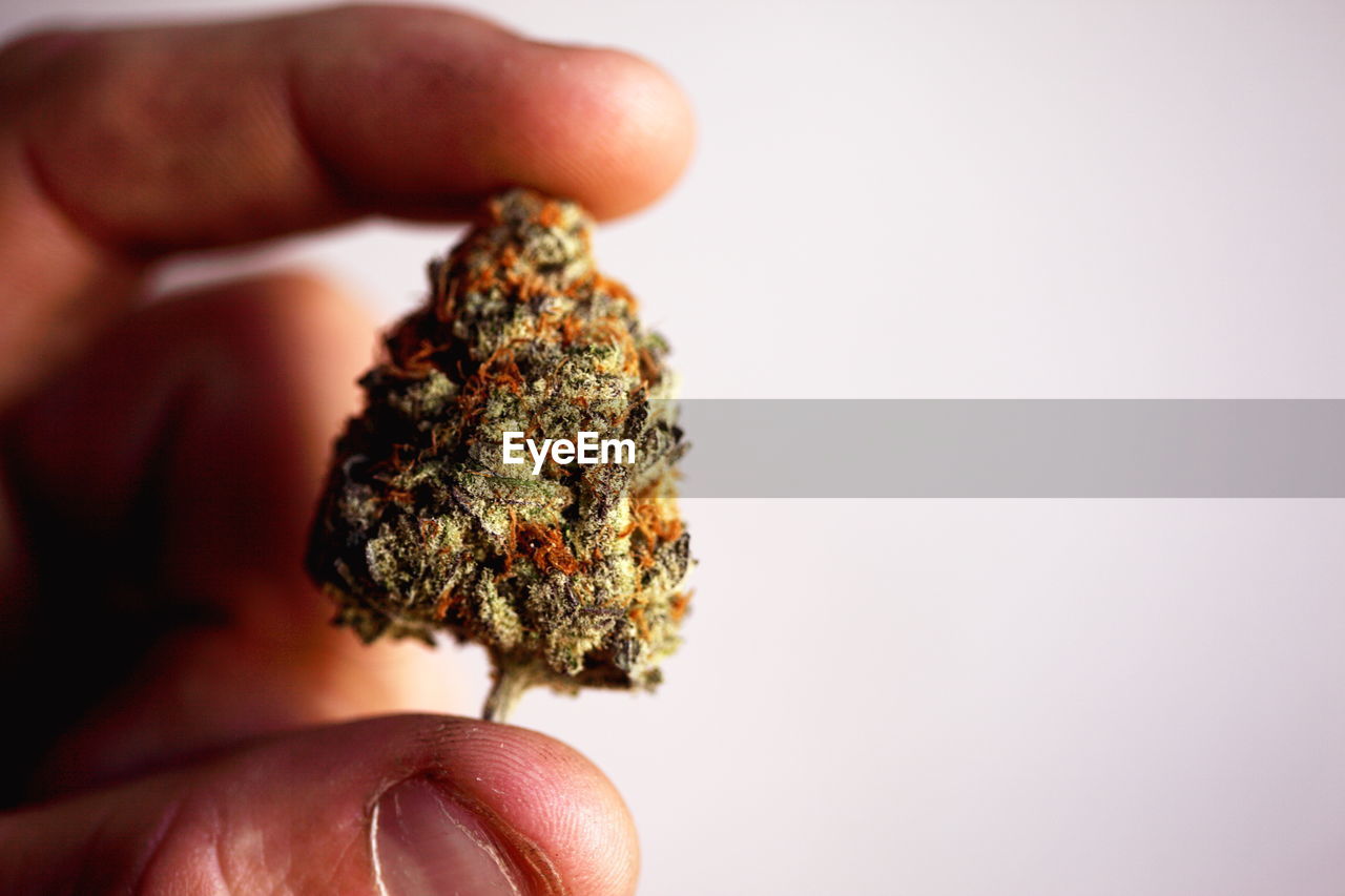 Cropped image of hands holding marijuana against sky