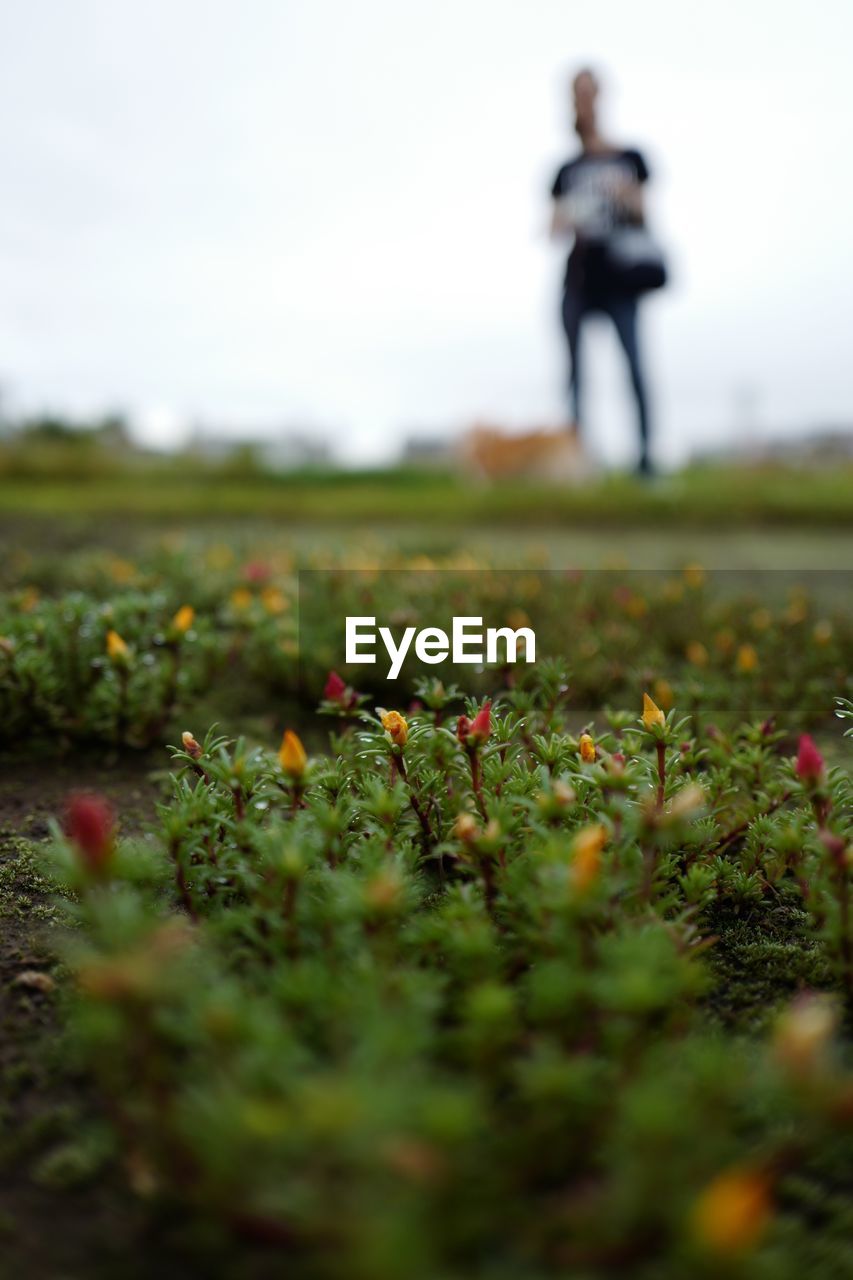 Low angle view of person standing on field against sky