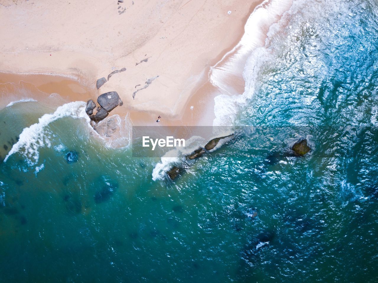 High angle view of fishes swimming in sea