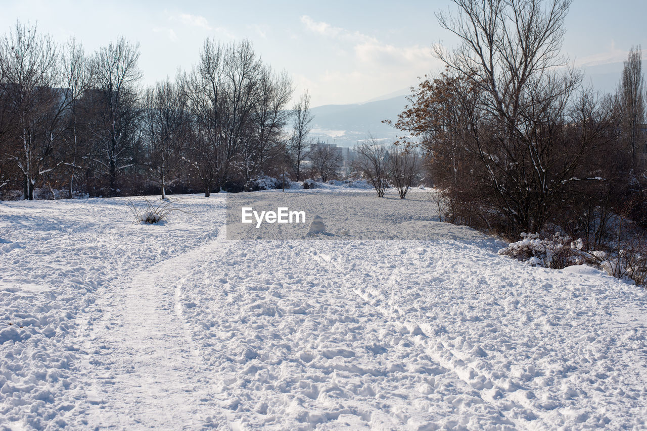Snowy tracks in the park.