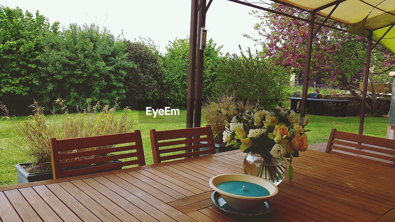 POTTED PLANTS AND TABLE AGAINST TREES