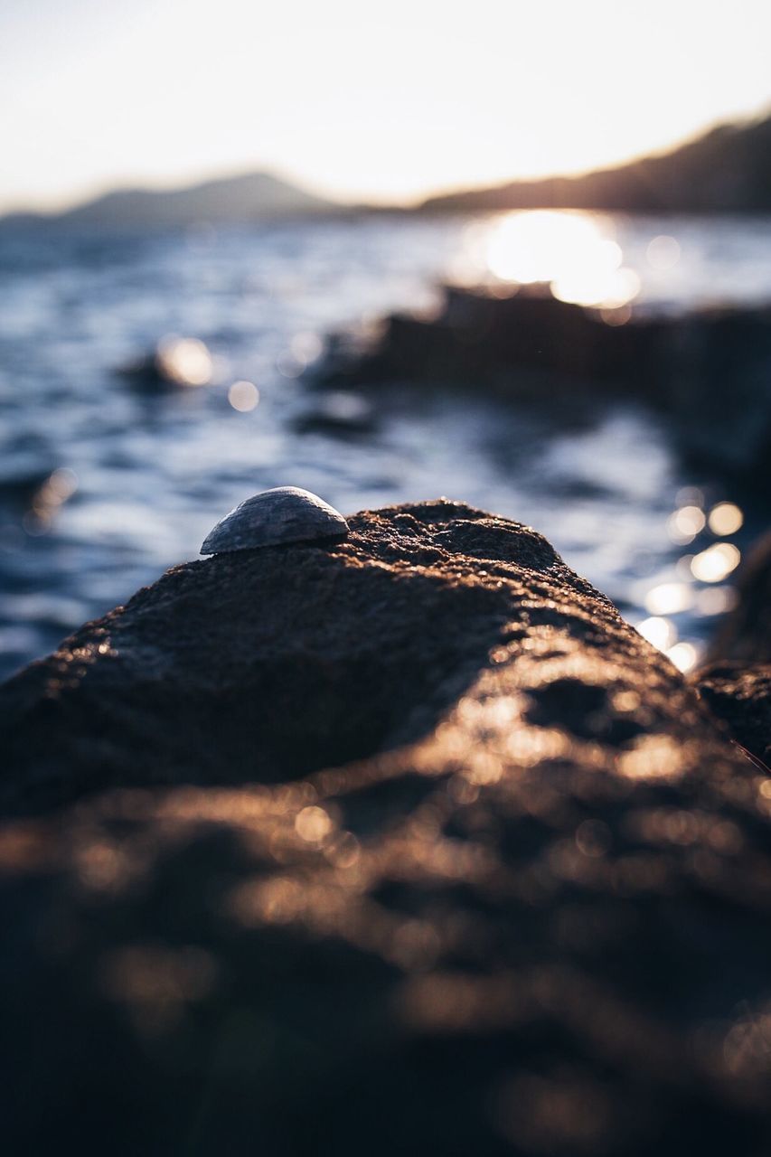 Close-up of rock with sea in background during sunset