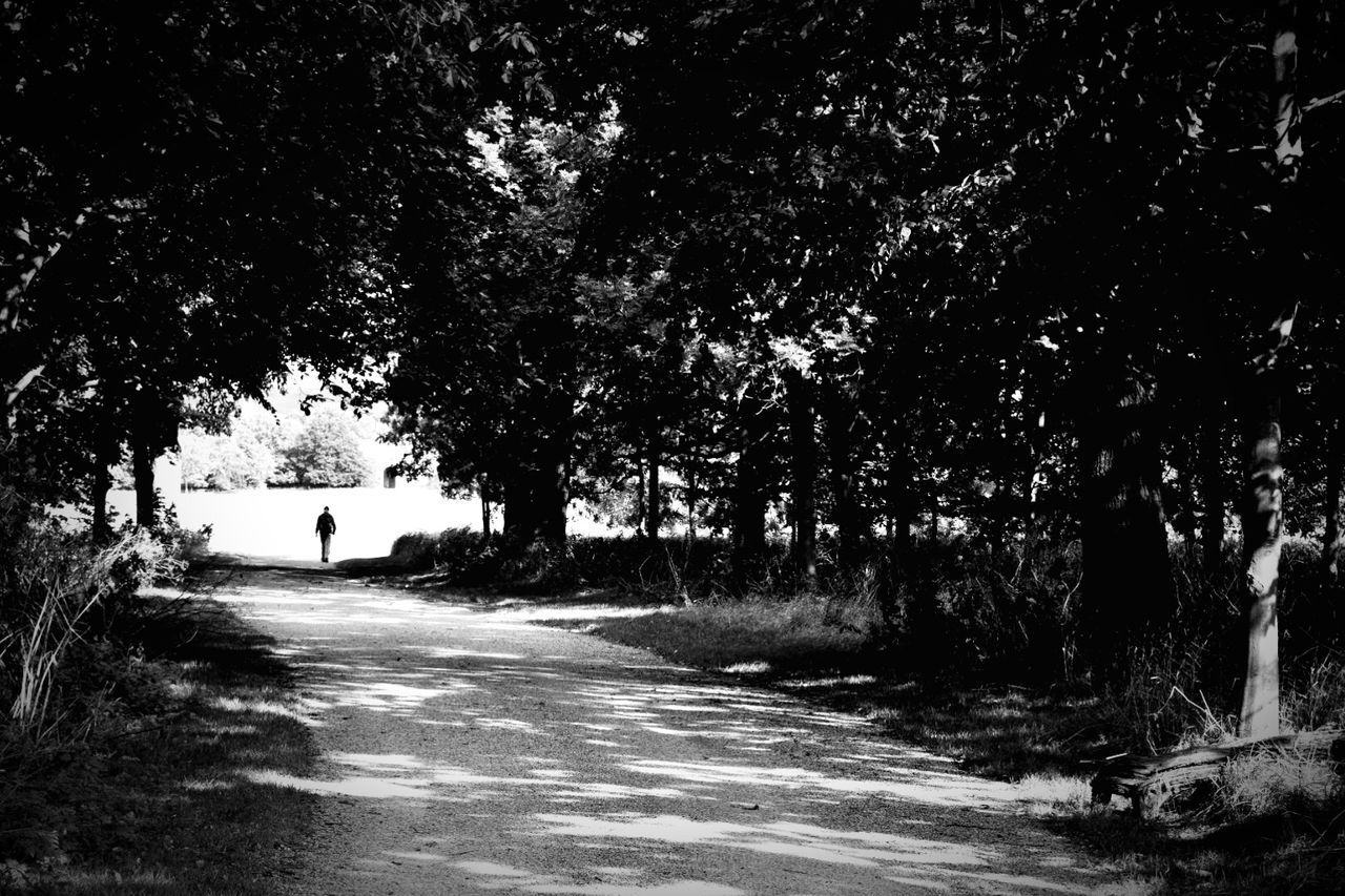 Distant view of man walking on footpath amidst trees