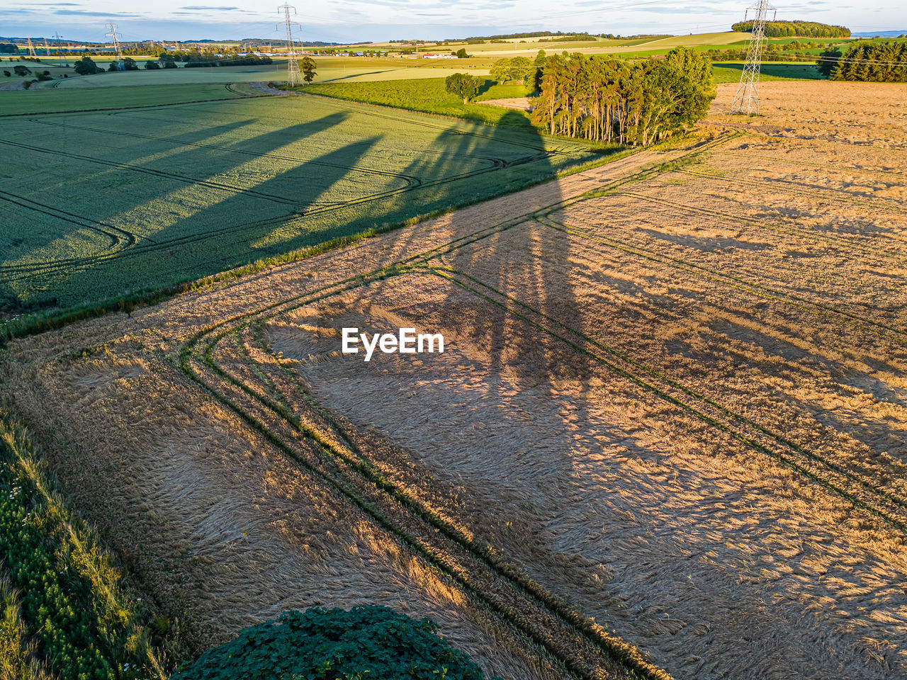 Sunset over field long shadows