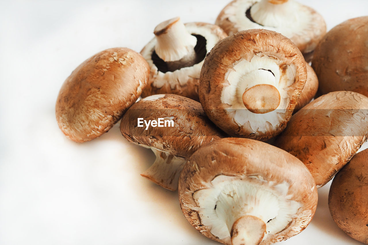 CLOSE-UP OF MUSHROOMS ON WHITE TABLE