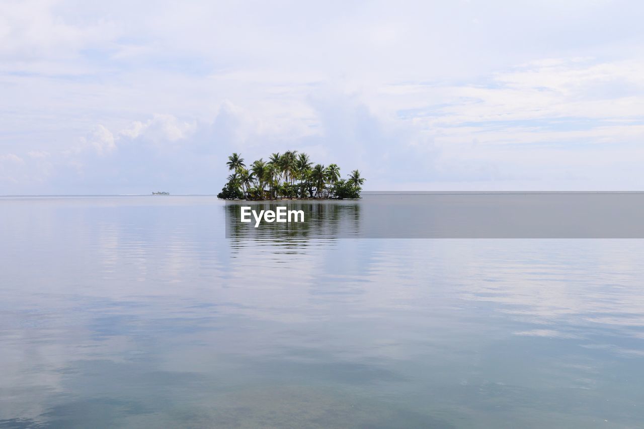 Palm trees on island against sky