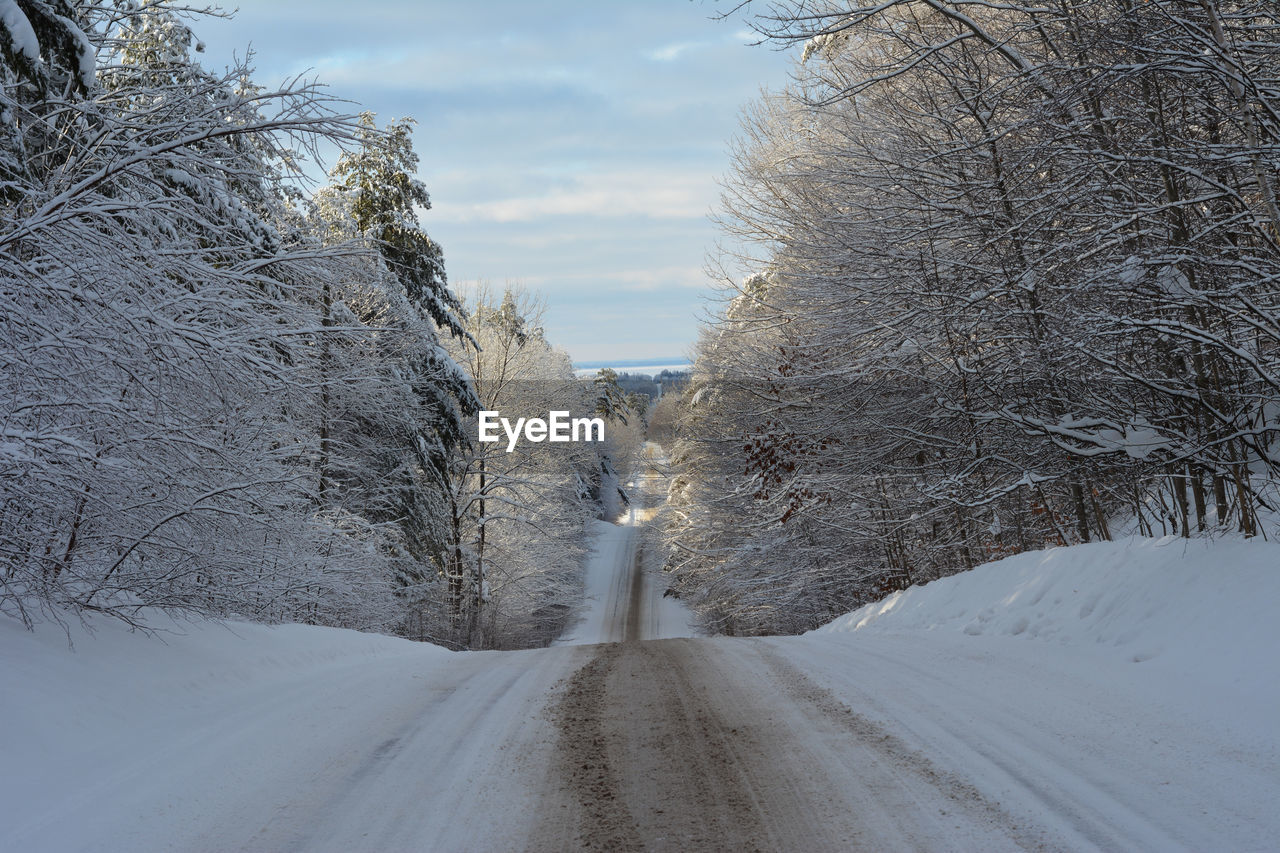 SNOW COVERED ROAD AMIDST PLANTS AGAINST SKY