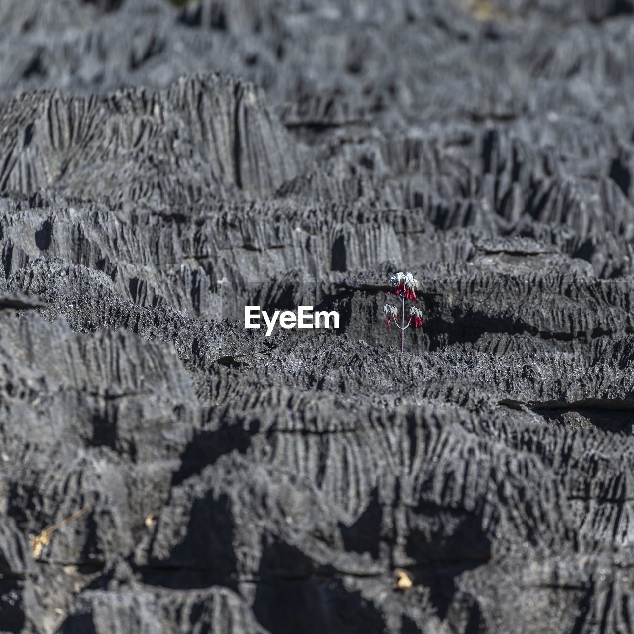 HIGH ANGLE VIEW OF ROCKS ON LAND