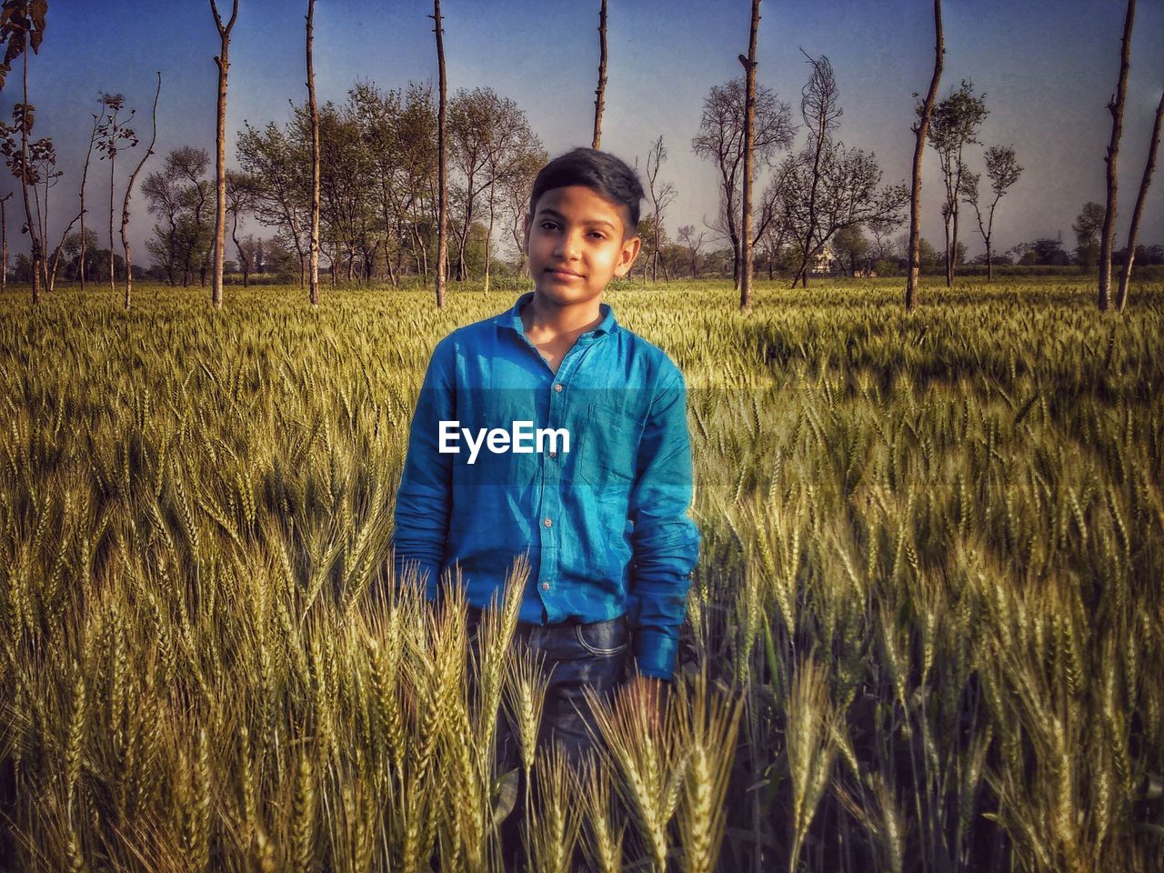 Portrait of boy standing amidst cereal plants on agricultural field