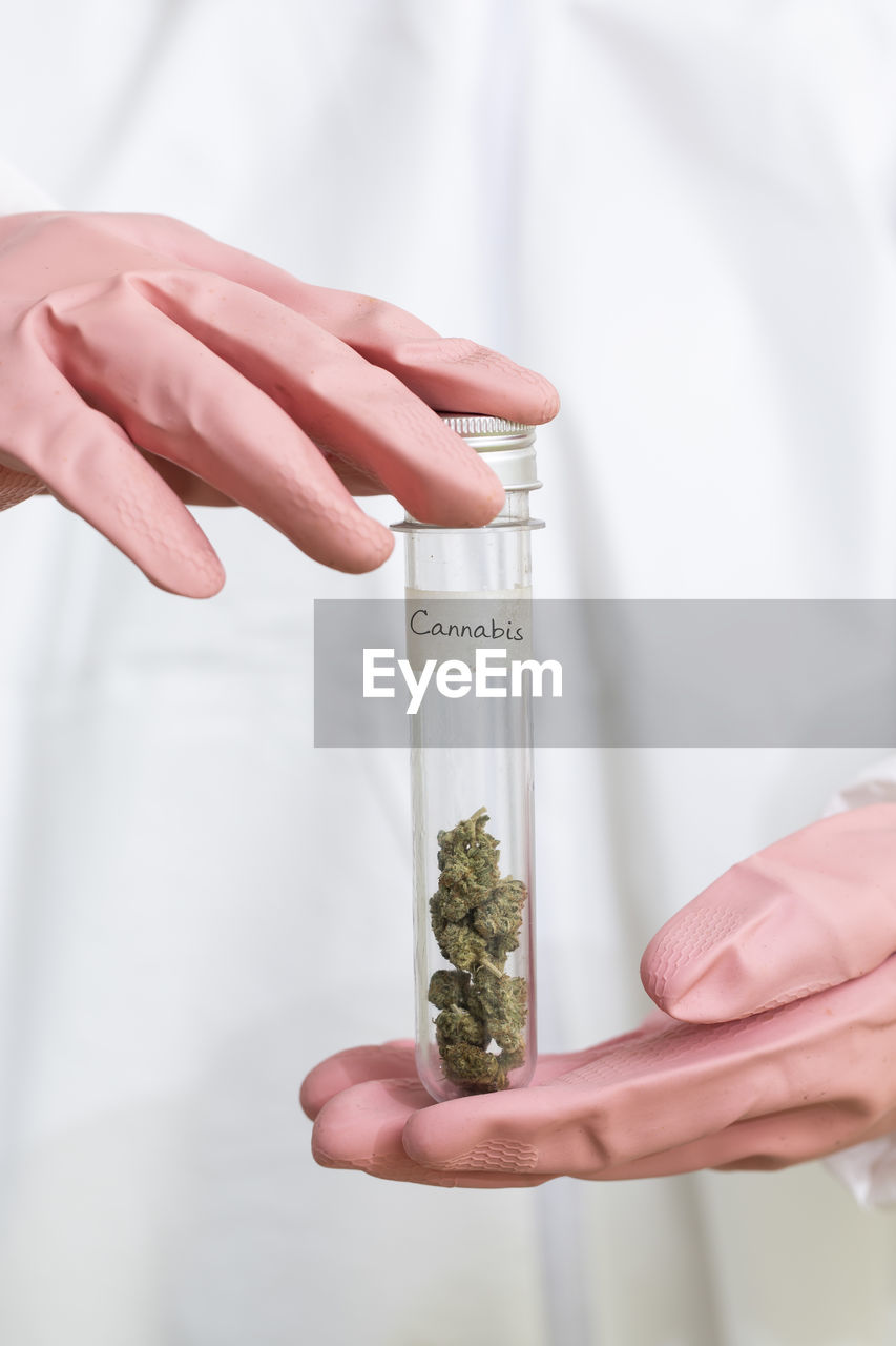 Scientist holding test tube with marijuana.medical and recreational use of marijuana