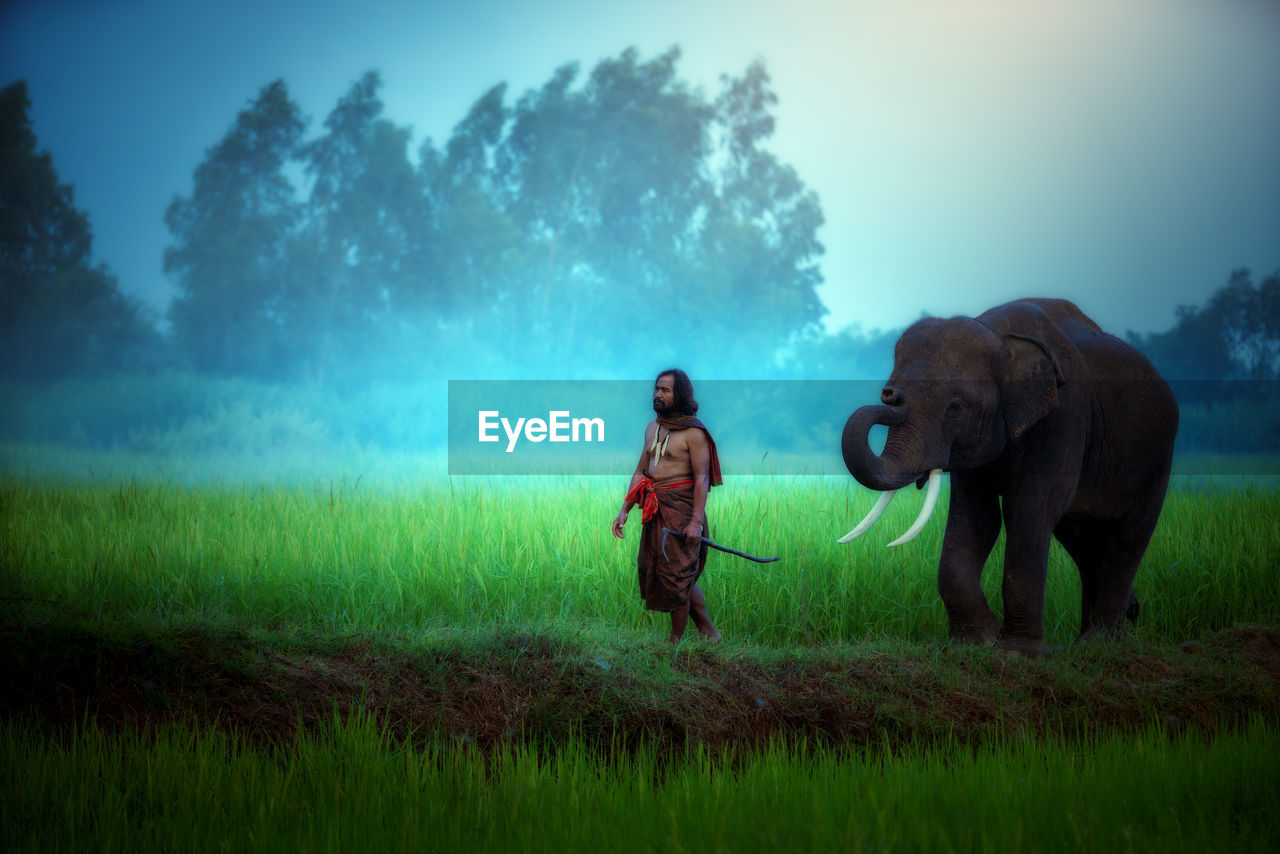 Man walking with elephant on field