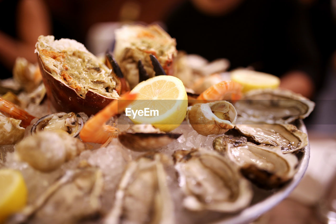 Close-up of oysters served in plate