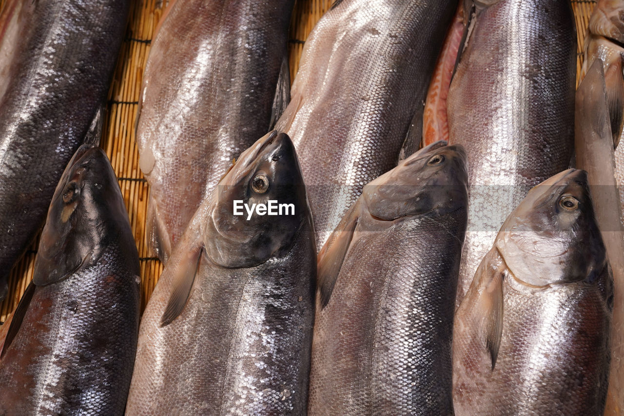 Close-up of fish for sale in market