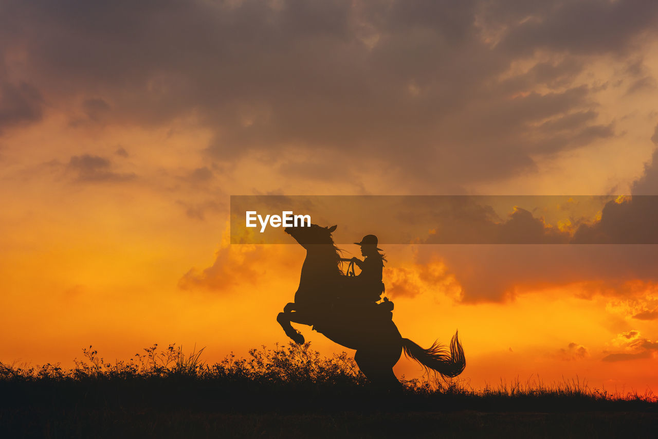 A cowboy on a horse springing up and a riding horse silhouetted against the sunset