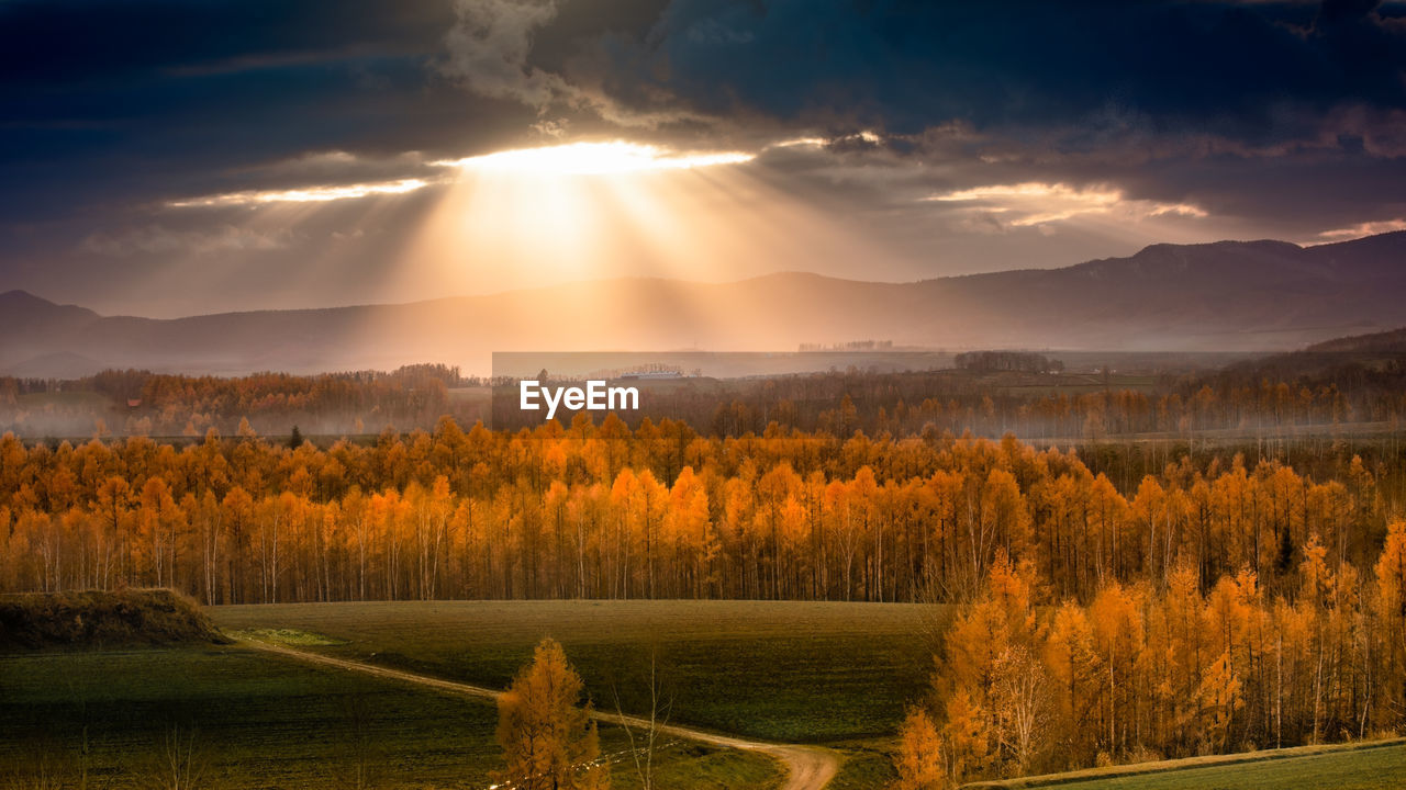 Scenic view of field against sky during sunset