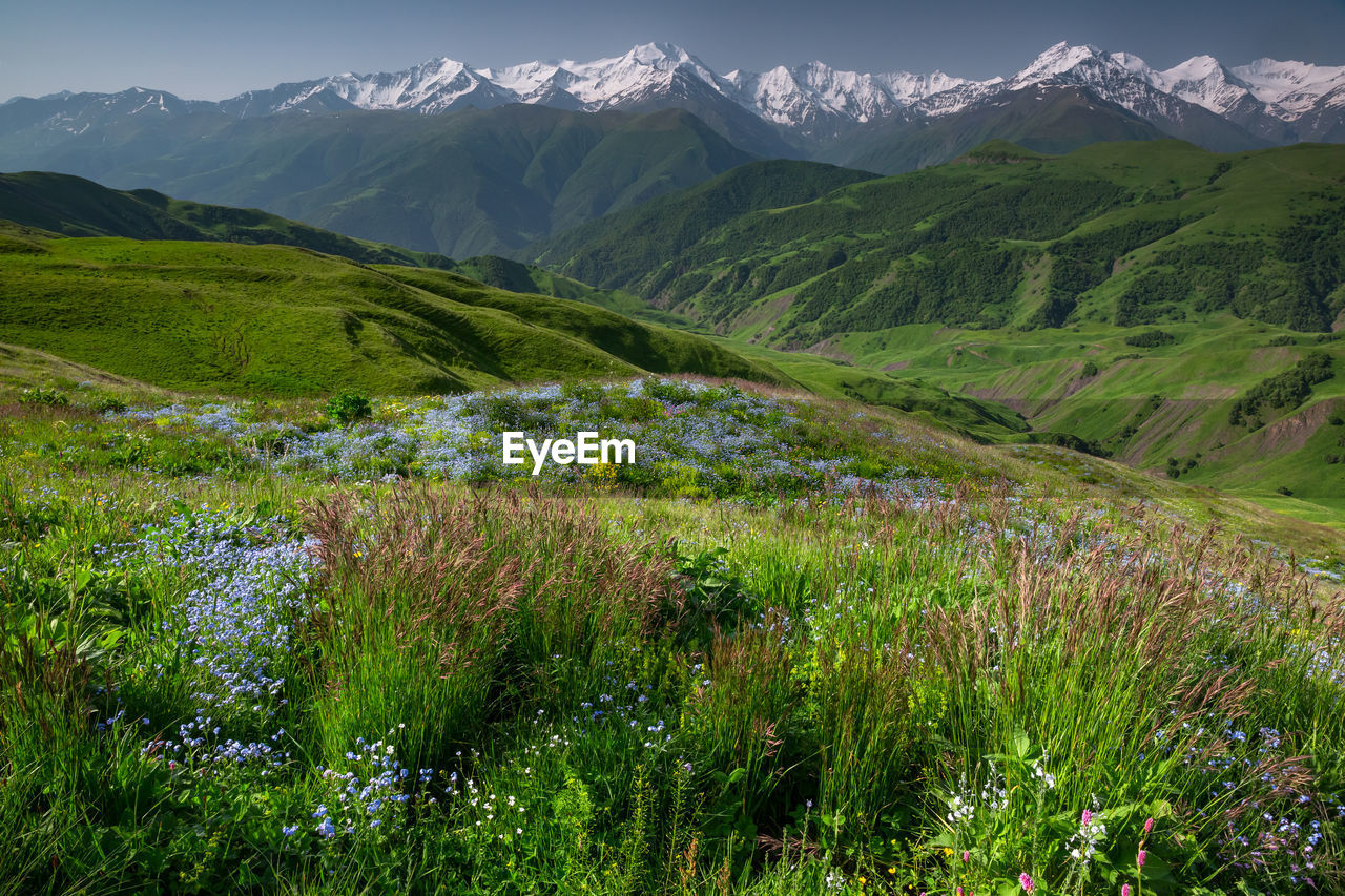 Scenic view of landscape and mountains