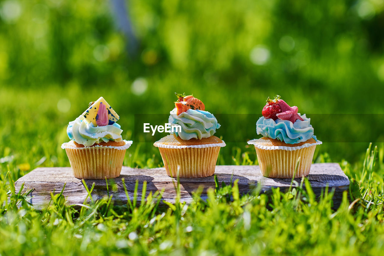 Close-up of cupcakes on field