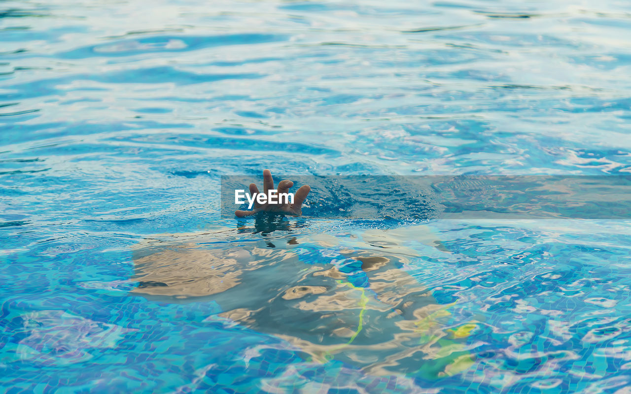 high angle view of woman swimming in sea