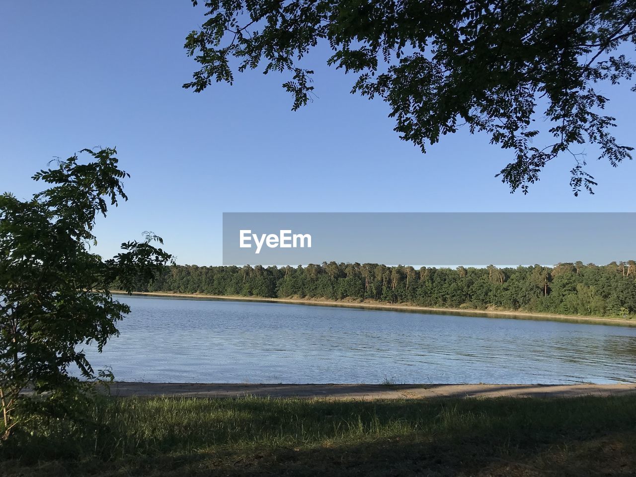 SCENIC VIEW OF LAKE BY TREES AGAINST CLEAR SKY