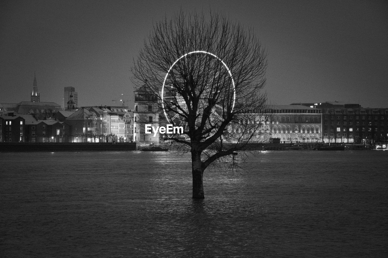 A grayscale of a single tree in flooded rhine river with a ferris wheel in the background