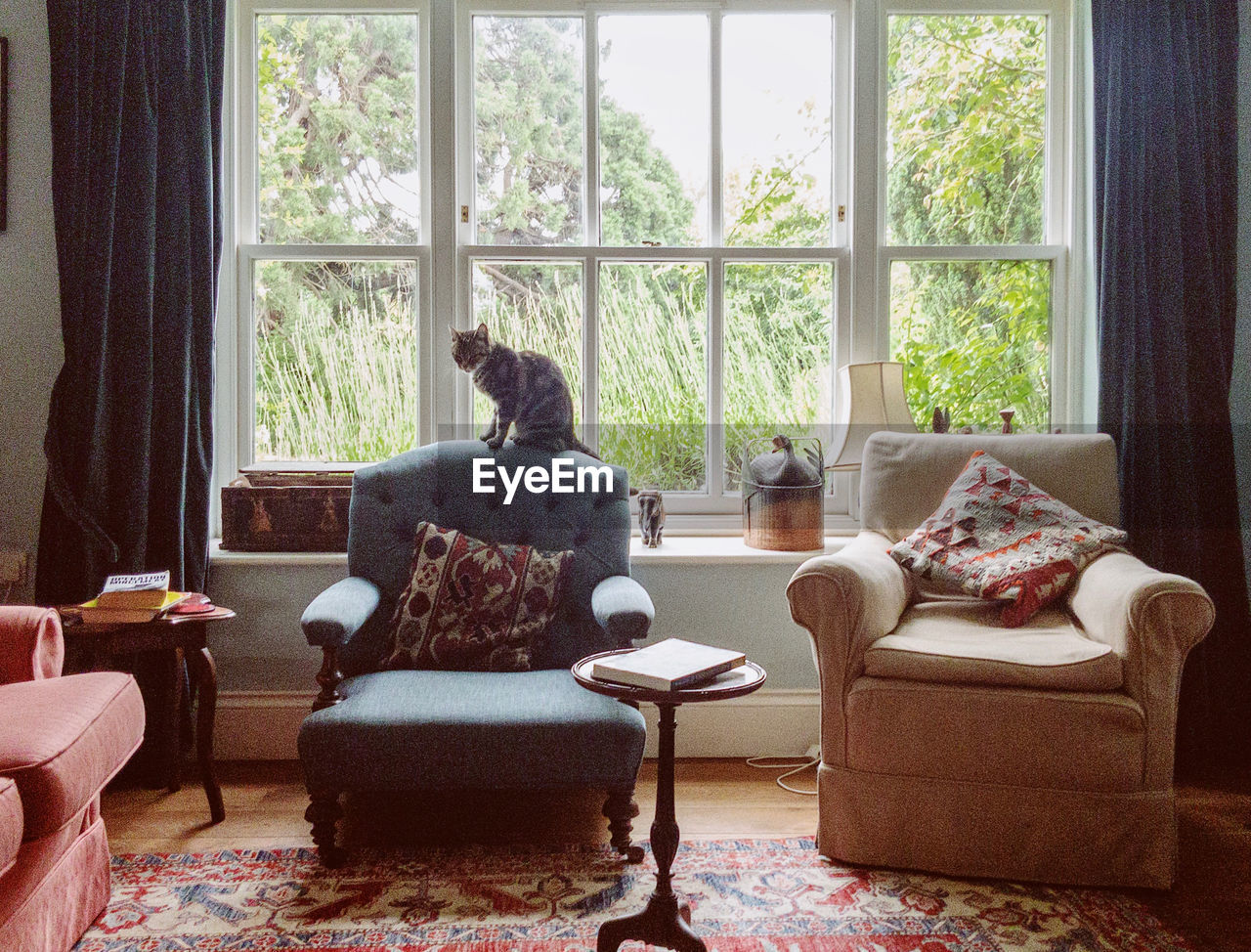 window, living room, indoors, room, domestic room, furniture, home interior, sofa, home, chair, interior design, no people, seat, day, domestic life, nature, floor, house, plant, table, armchair, comfortable, home showcase interior, curtain, lifestyles, flooring, cozy, architecture, couch, carpet, cottage, pillow