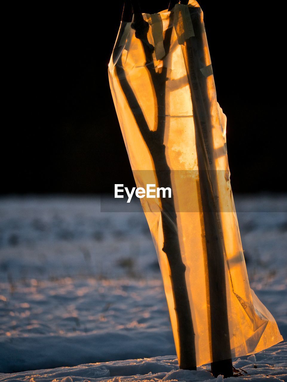 CLOSE-UP OF SNOW ON BEACH AGAINST SKY AT NIGHT