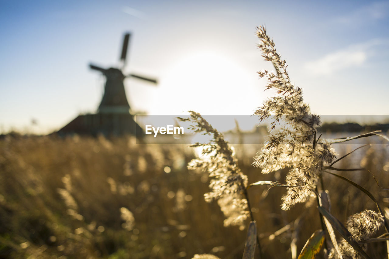 Windmill on landscape at clear sky