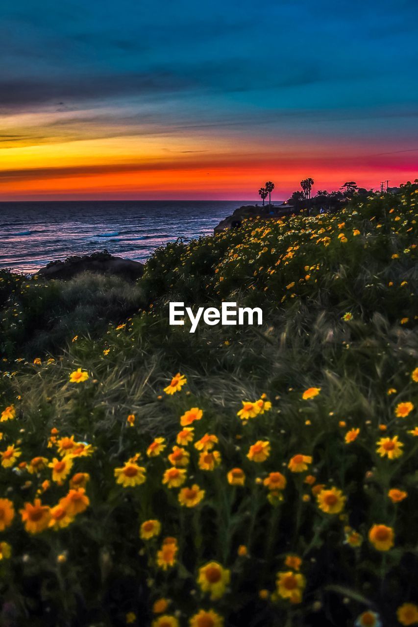 SCENIC VIEW OF SEA AND ORANGE SKY