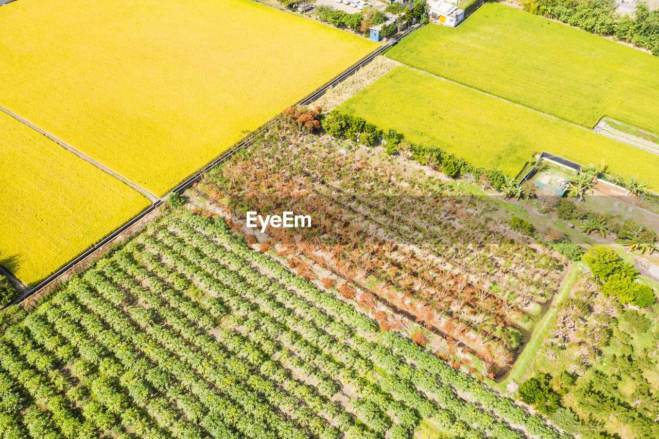 HIGH ANGLE VIEW OF FARM