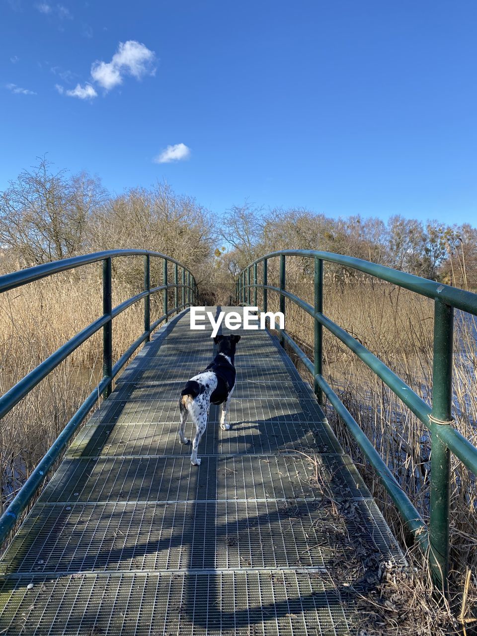 MAN ON RAILING AGAINST SKY