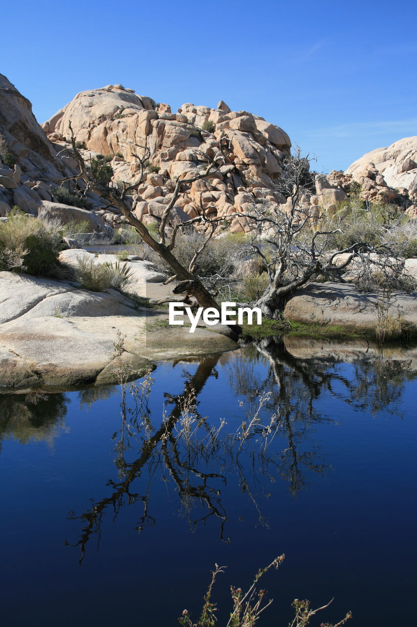 Reflection of tree and rocks in lake against blue sky