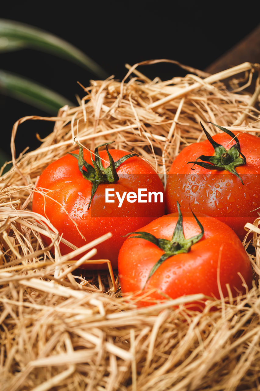 food, food and drink, healthy eating, vegetable, freshness, wellbeing, fruit, produce, tomato, basket, no people, plant, close-up, organic, nature, agriculture, orange color, container, indoors, red, studio shot, hay, still life