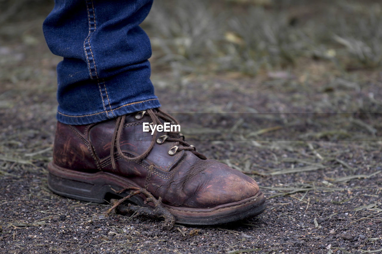 Low section of man wearing shoes