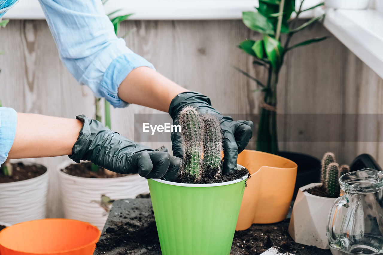 MAN WORKING ON POTTED PLANTS