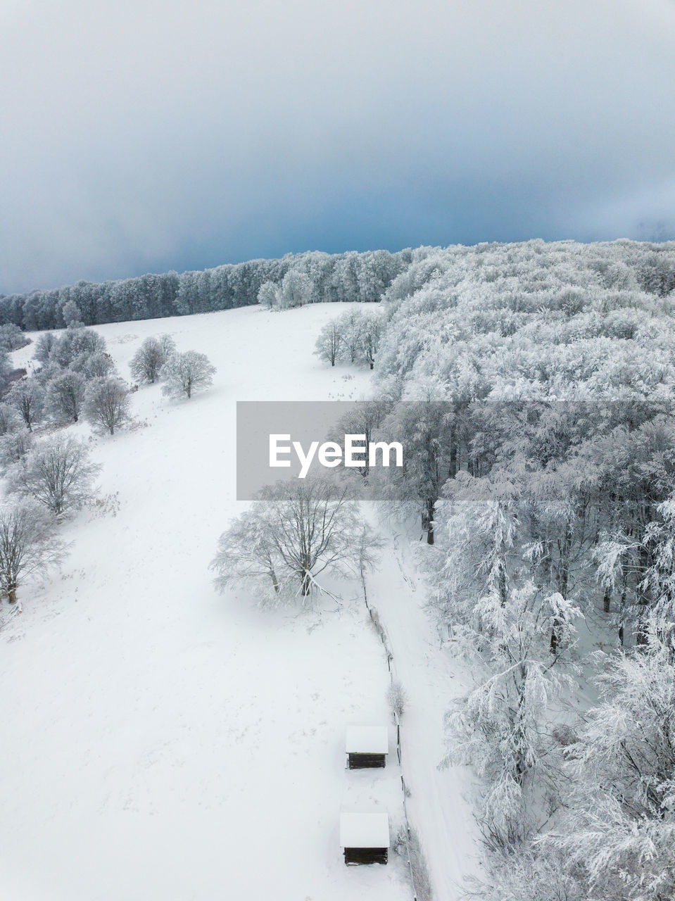 snow covered landscape