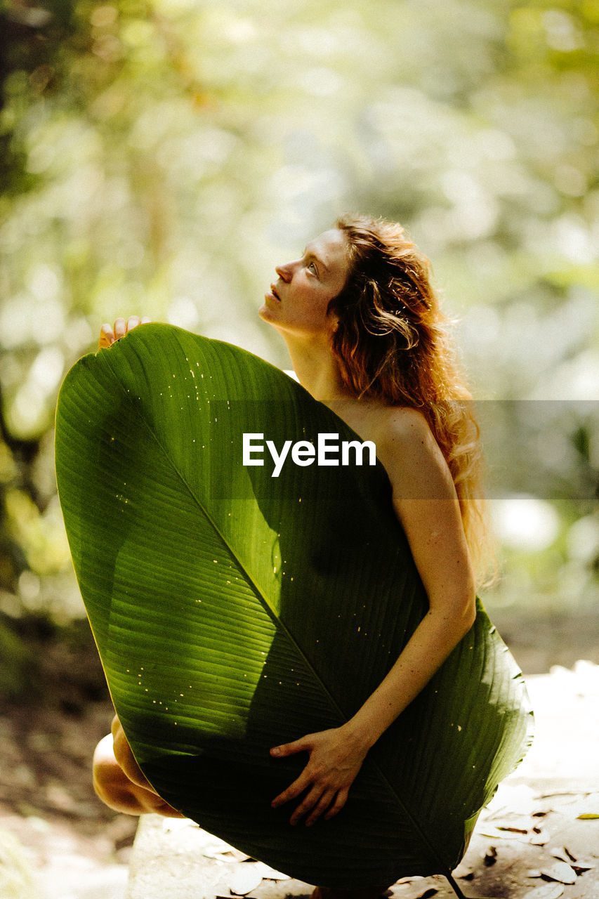 A young girl with a large palm leaf looks up