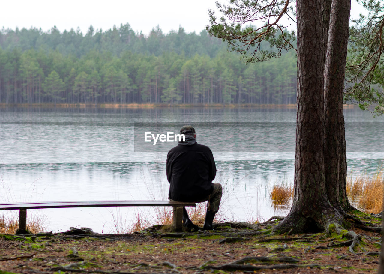 water, tree, one person, plant, rear view, nature, lake, men, wilderness, adult, tranquility, beauty in nature, full length, tranquil scene, leisure activity, forest, land, sitting, lifestyles, scenics - nature, day, outdoors, relaxation, vacation, trip, solitude, non-urban scene, clothing, lakeshore, holiday, activity, landscape, person, sky, environment, tree trunk, idyllic, trunk, fog, beach