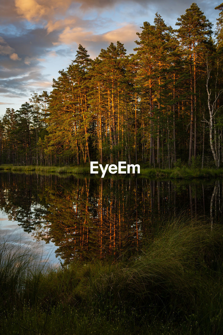 Scenic view of lake in forest against sky at dusk