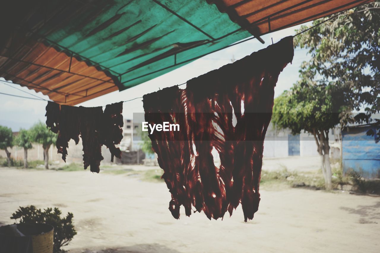 CLOSE-UP OF CLOTHES DRYING AT BEACH