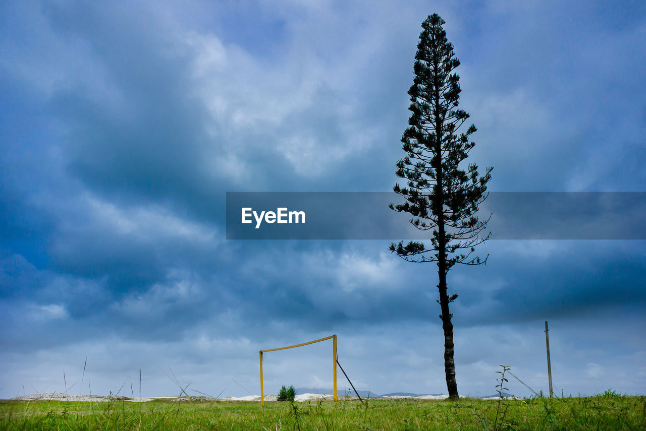 Trees on football field against sky