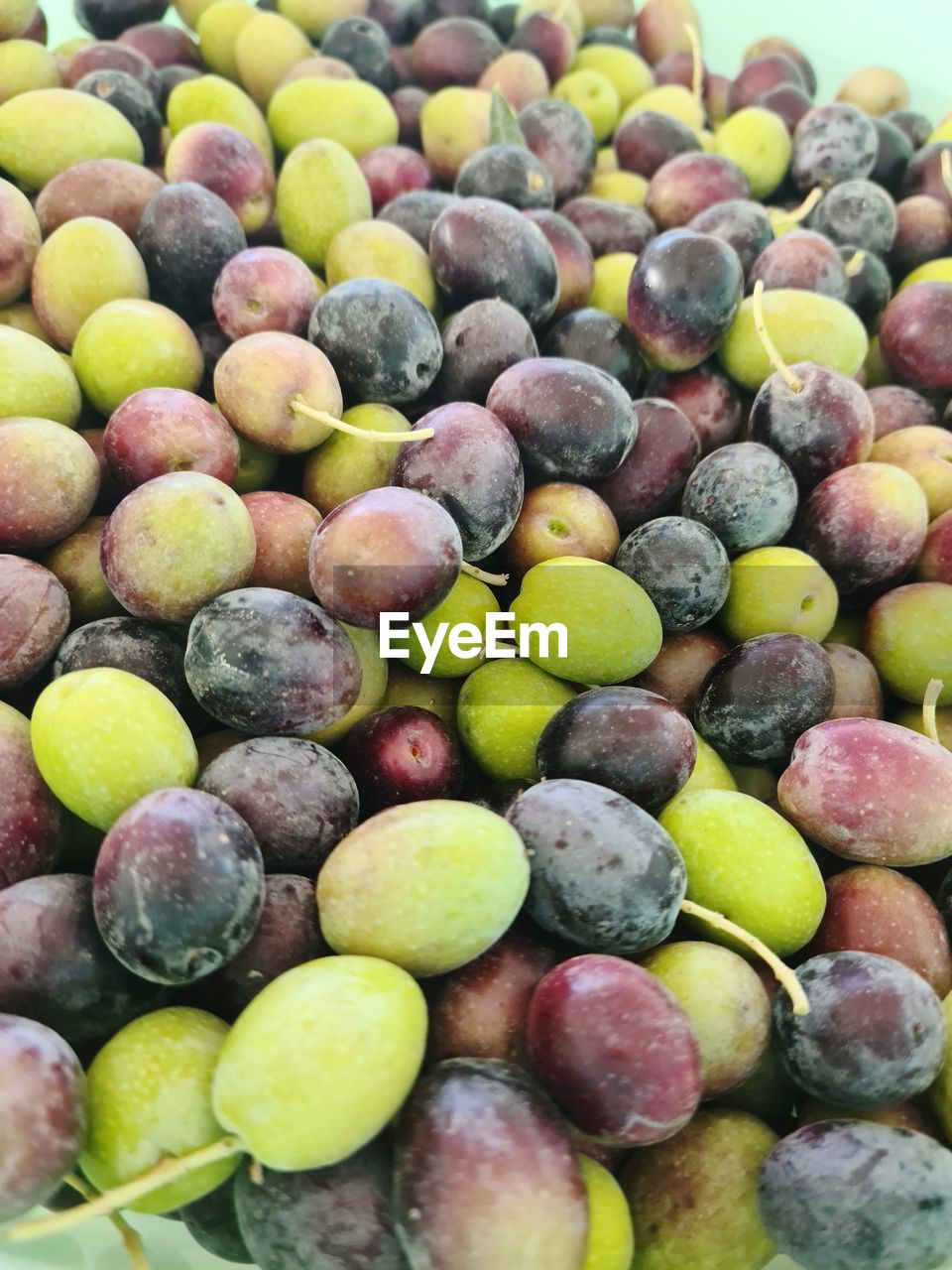 Full frame shot of fresh olives 