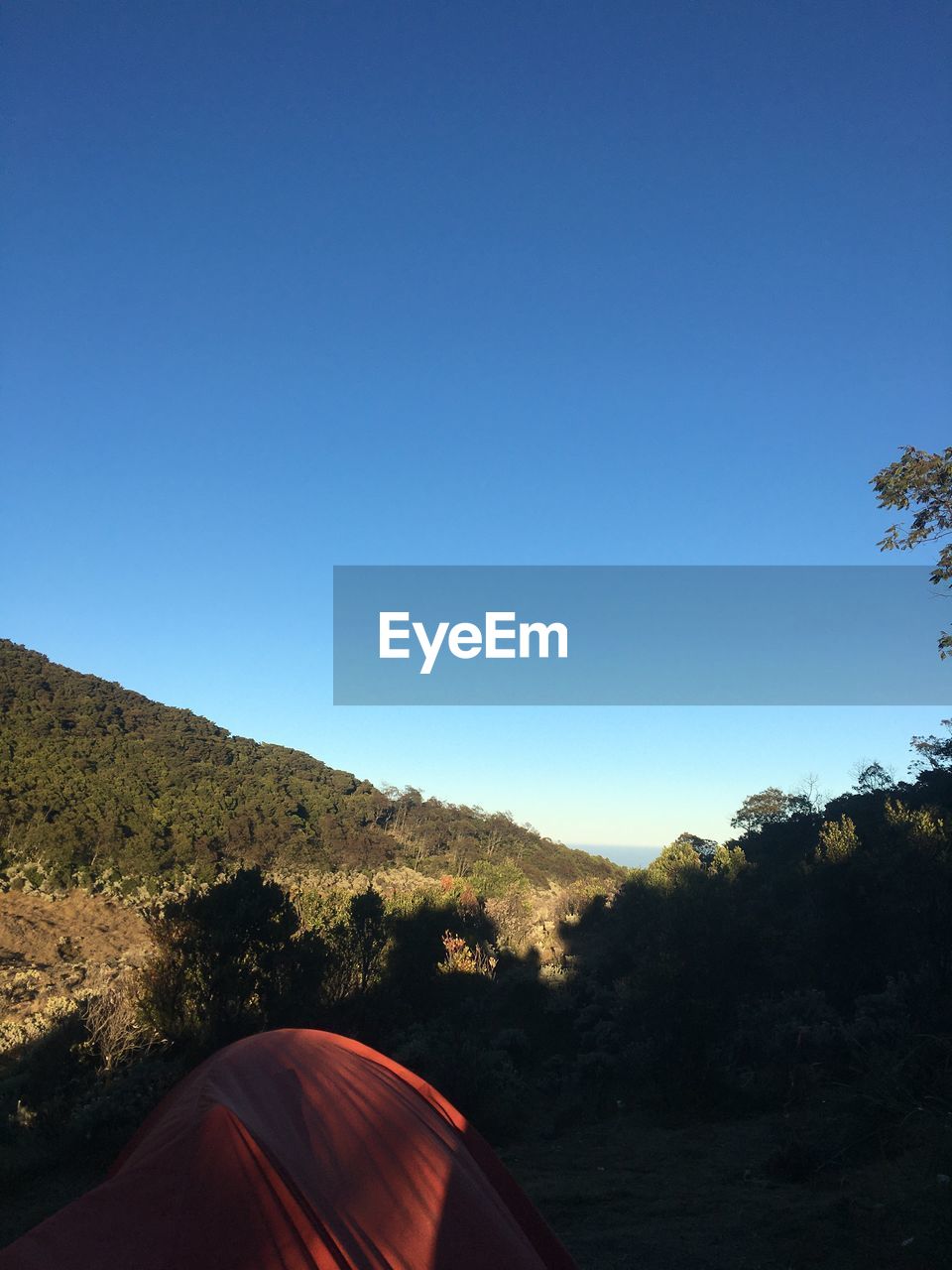 SCENIC VIEW OF LANDSCAPE AGAINST CLEAR SKY