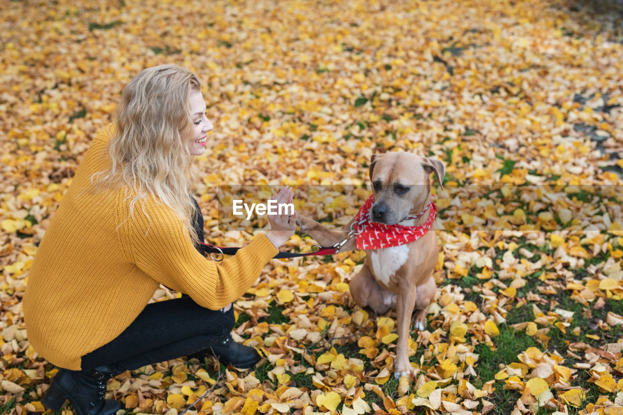 LOW SECTION OF WOMAN WITH DOG IN AUTUMN LEAVES