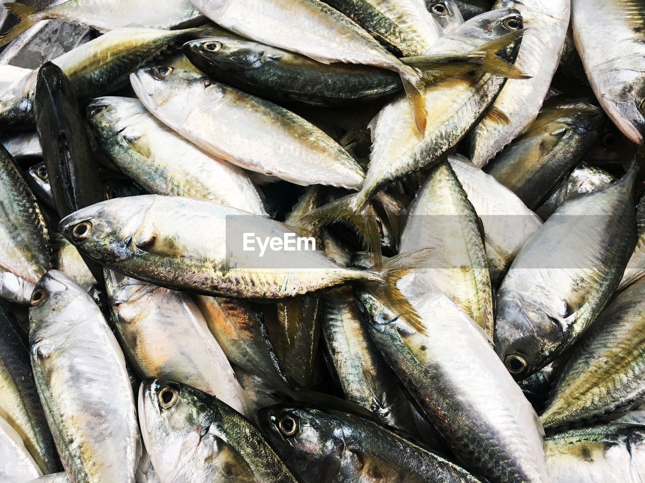 FULL FRAME SHOT OF FISH FOR SALE AT MARKET