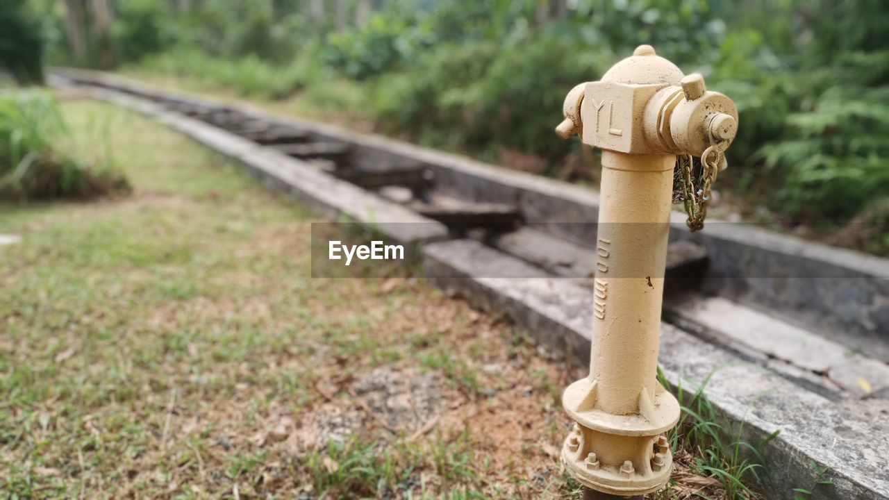 CLOSE-UP OF RAILROAD TRACK AMIDST PLANTS