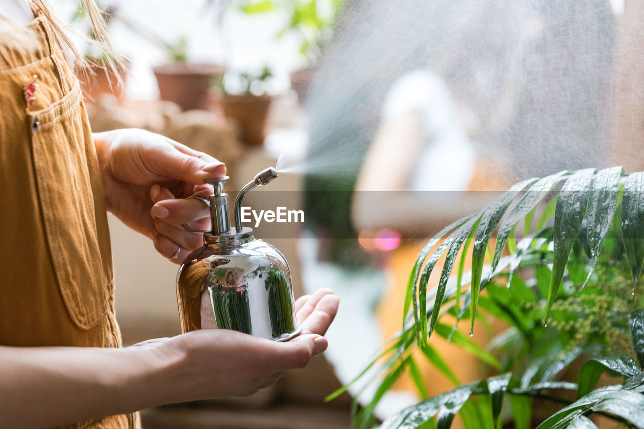 Woman florist wearing overalls, spraying houseplant by vintage steel water sprayer at garden home.