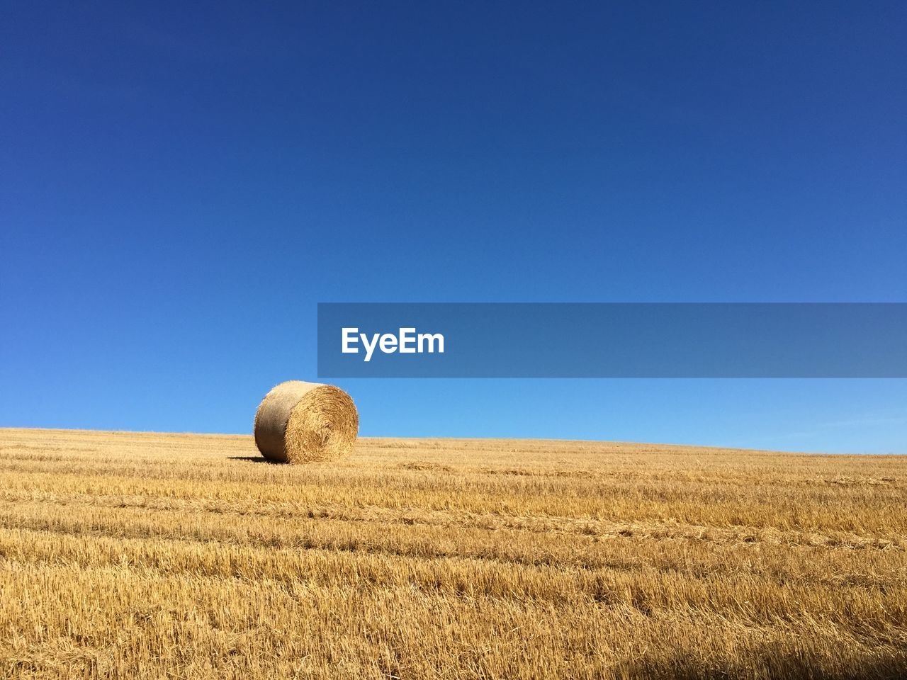 HAY BALES ON FIELD AGAINST BLUE SKY