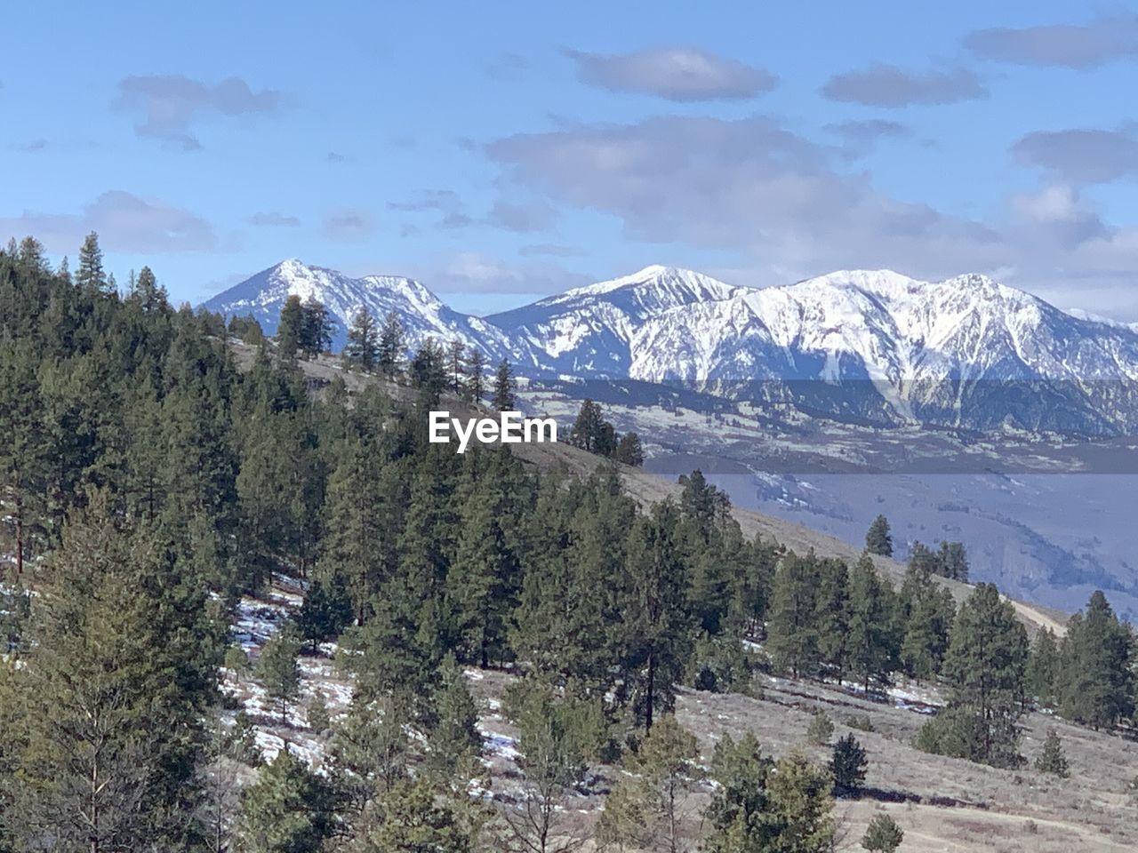 TREES ON SNOWCAPPED MOUNTAINS AGAINST SKY