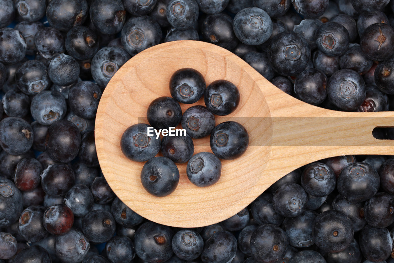 DIRECTLY ABOVE SHOT OF BLACK COFFEE BEANS IN PLATE