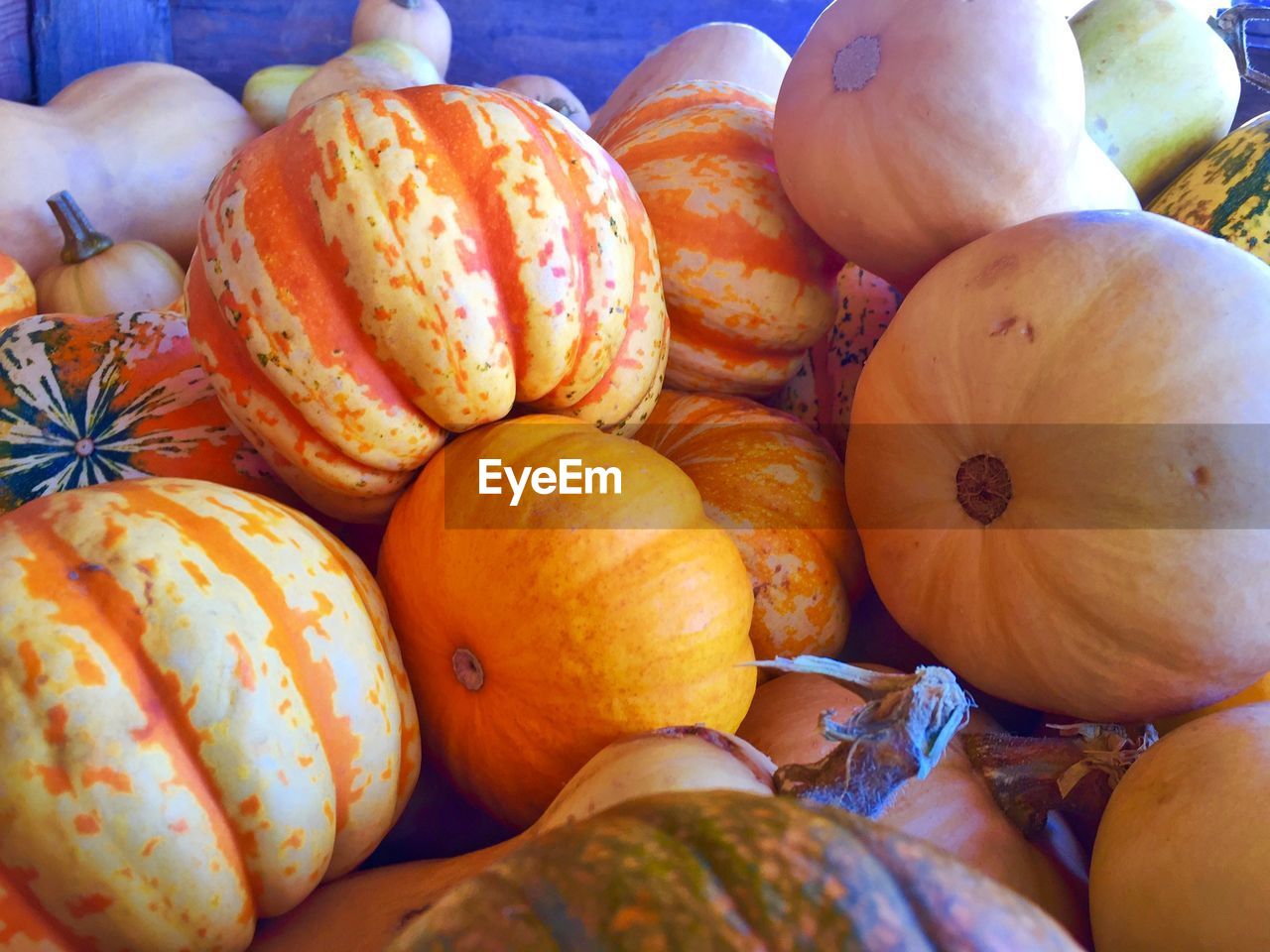 FULL FRAME SHOT OF PUMPKINS IN MARKET